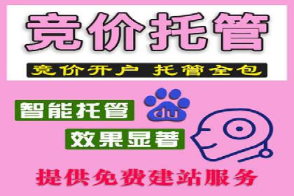 百度推广价格调整策略：实战案例分析
